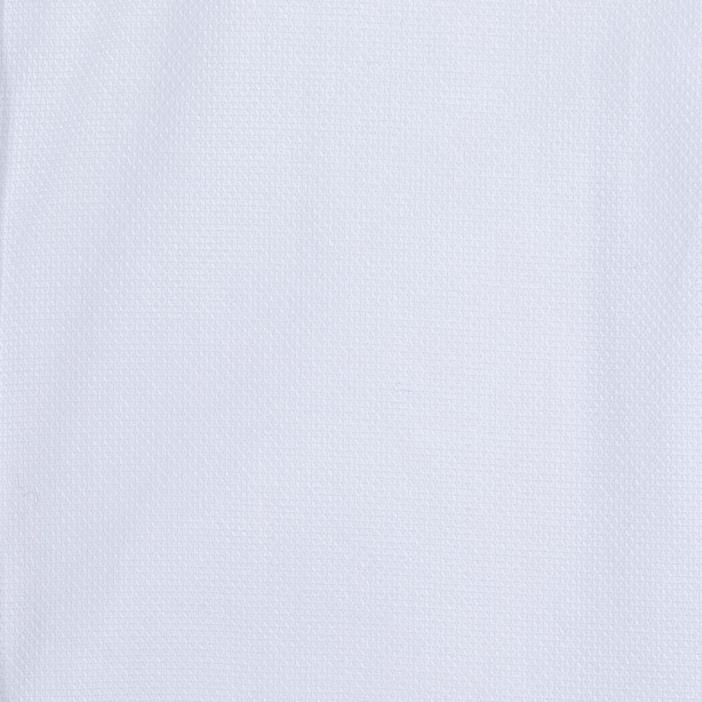 Men's Shirt (SM-3100|REG)
