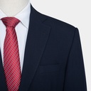 Men's Suit (STR-77|TLF18)