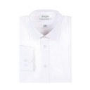 Men's Shirt (LIN-1126|REG)
