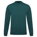 Men's Sweater (CN-173|RNK/FSL)