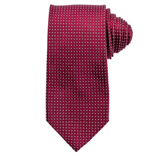 Men's Tie (TIE-E/YY30025|REG)
