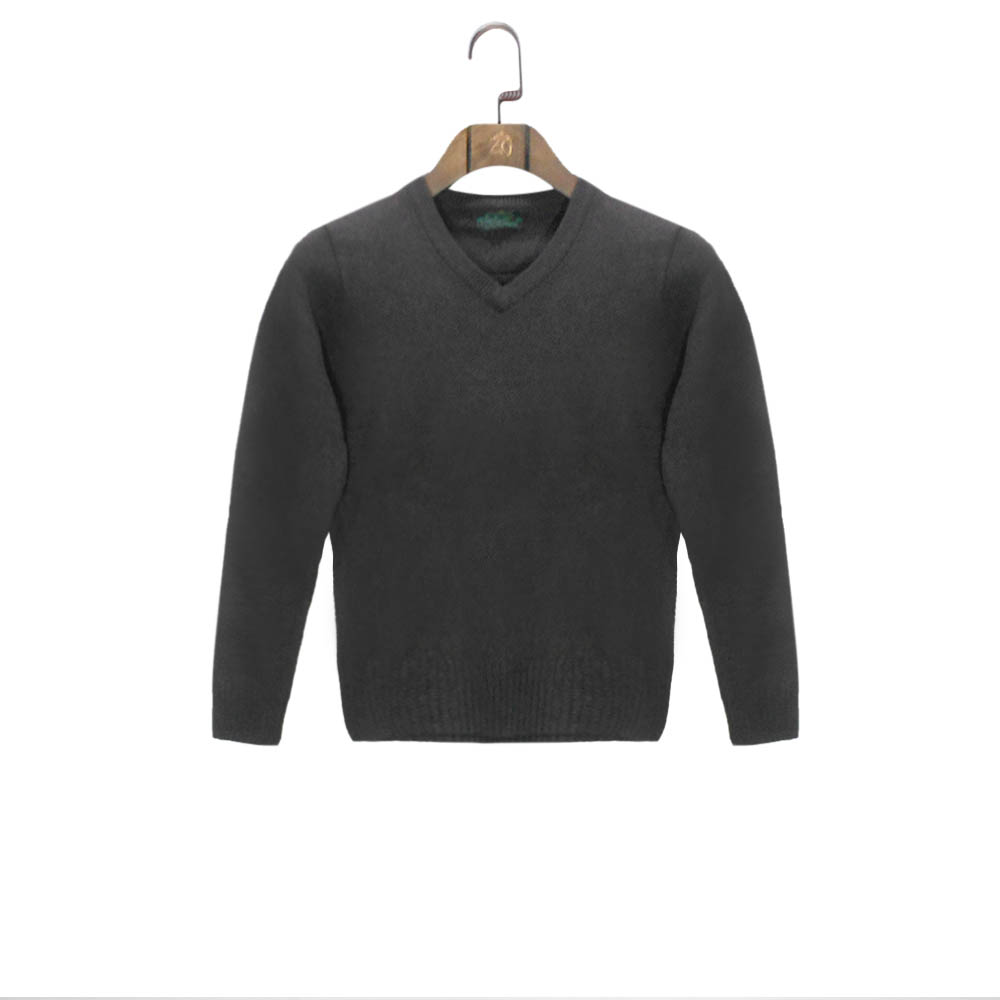 Men's Sweater (SWLO-2258|FSL)